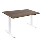 Mount-It! Dual Motor Electric Standing Desk with 55 Tabletop, Adrift & White